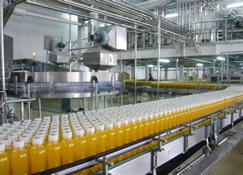 fruit processing machine|juice processing plant for sale.